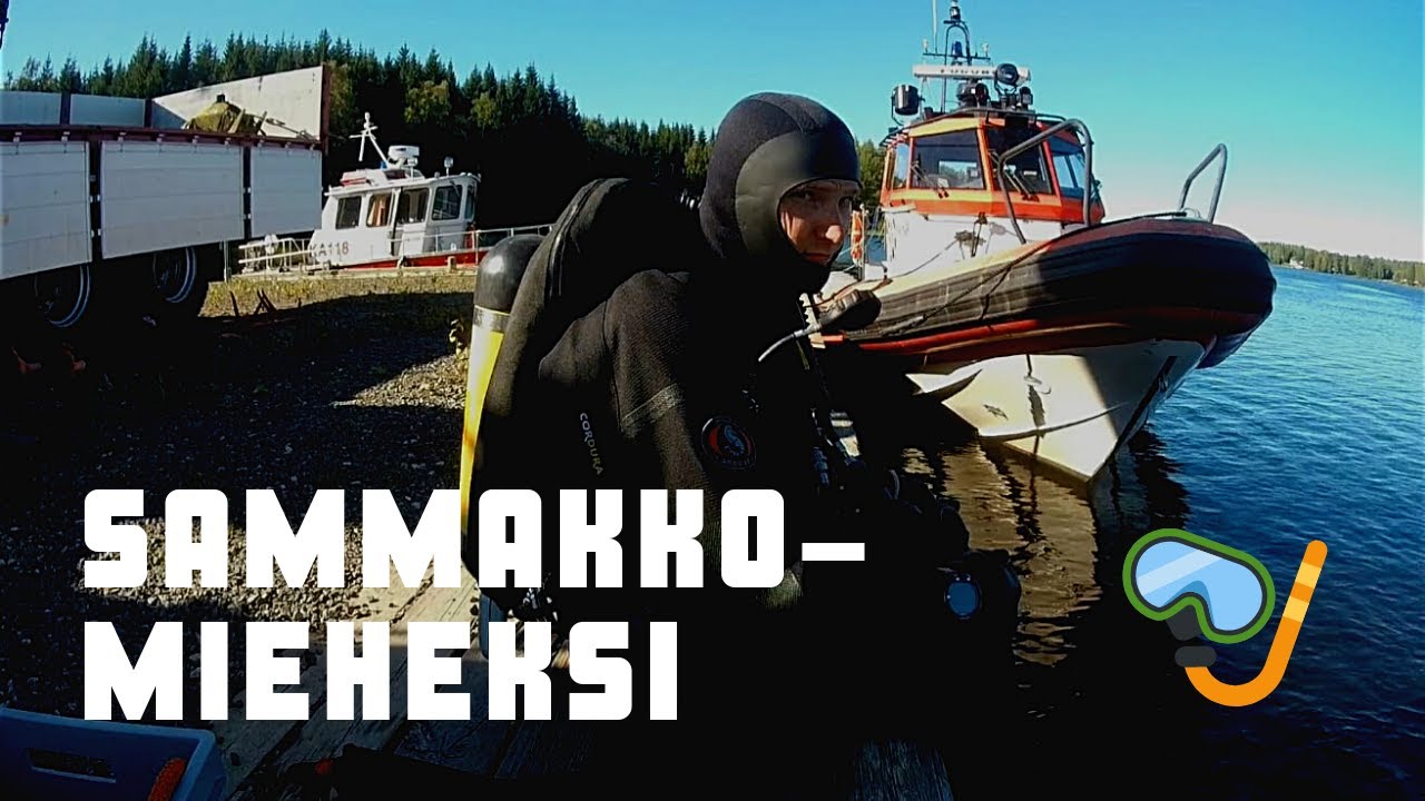 Tatun matka sammakkomieheksi