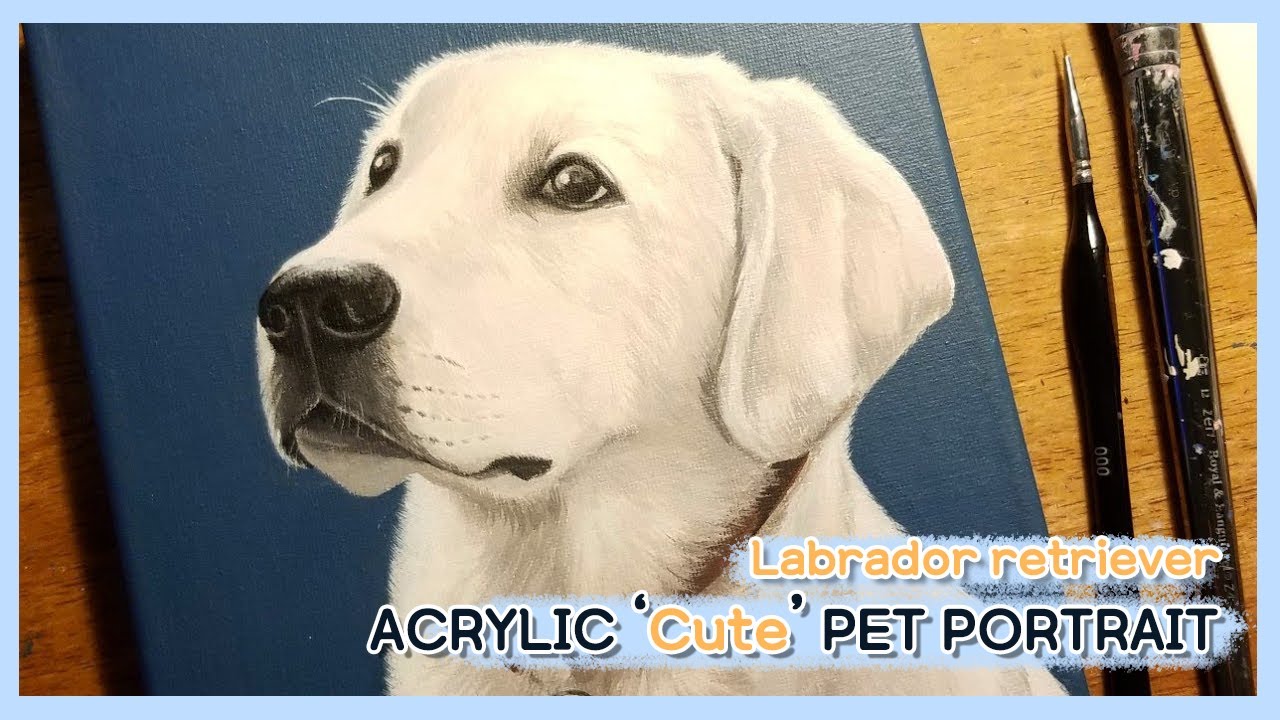 Acrylic Pet portrait / How to paint Labrador pet/ step by step pet painting/래브라도리트리버 들래 초상화