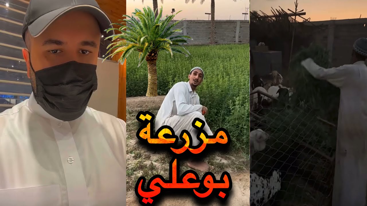 حسين البقشي مع بوعلي في المزرعة | مواسم النخيل | علي الشهابي | سنابات بوحسين الحساوي