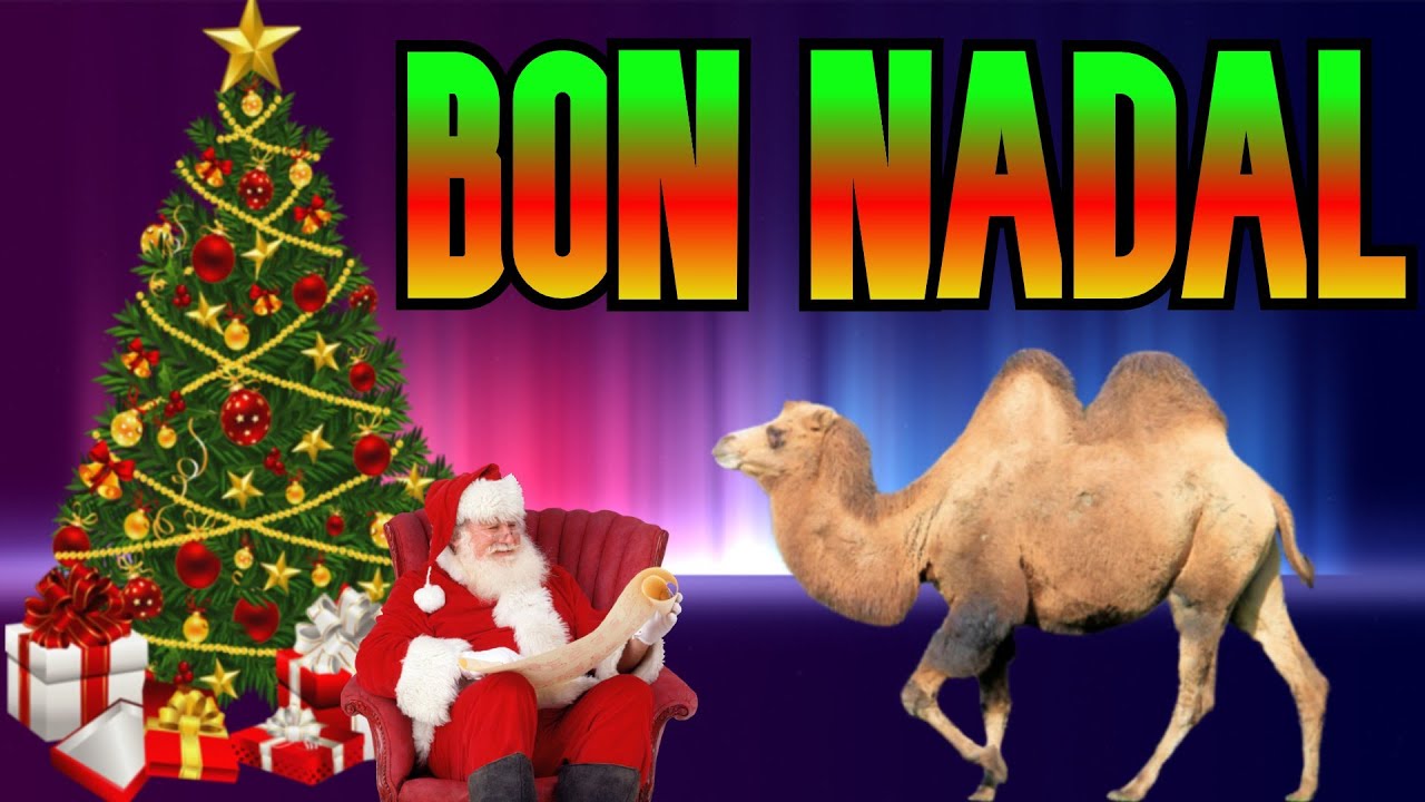 VIDEOCLIP NADALENC 2015-16 || Christmas VIDEOCLIP
