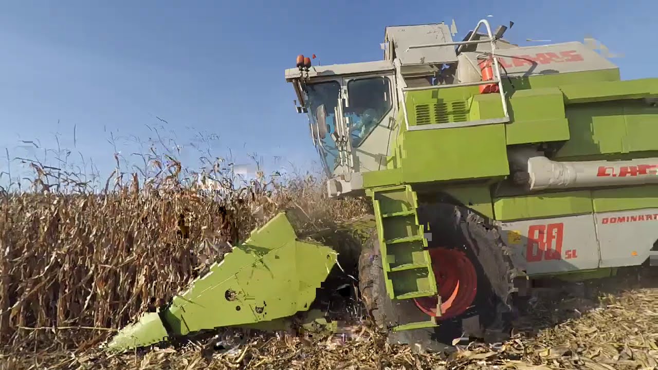 claas dominator 88  збирання кукурузи 2020