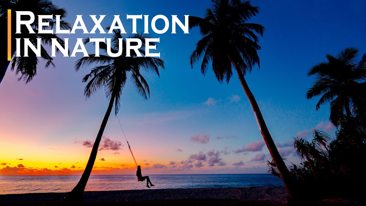 Relaxation in Nature - Beautiful Views of Nature with Relax Music