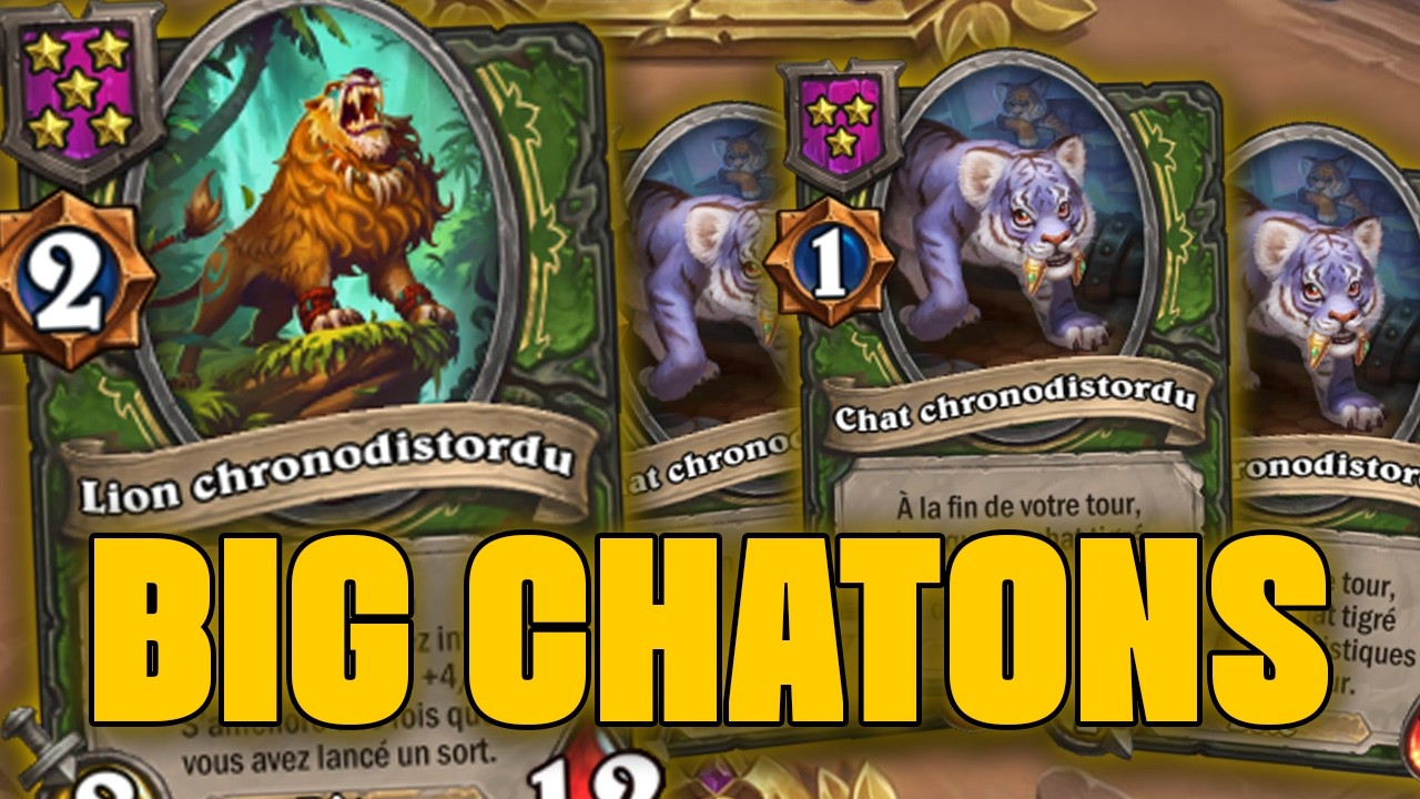 BOARD FULL D'ENORMES CHATS | Hearthstone Battlegrounds Top EU