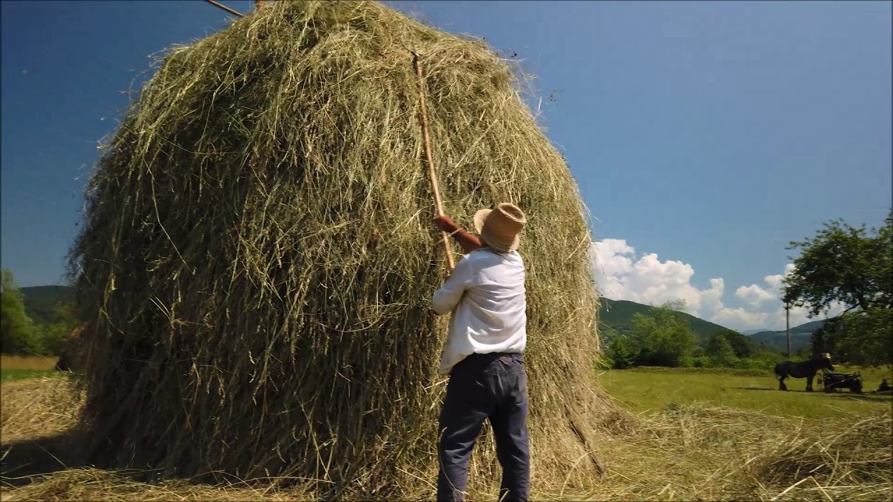 Visit Maramures, probably the most beautiful area of Romania !
