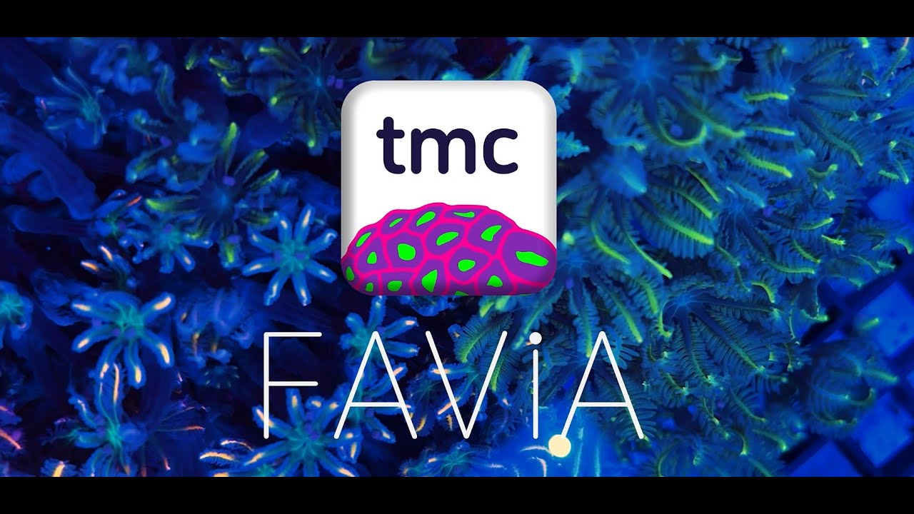 What is Favia? TMC's Brand New App