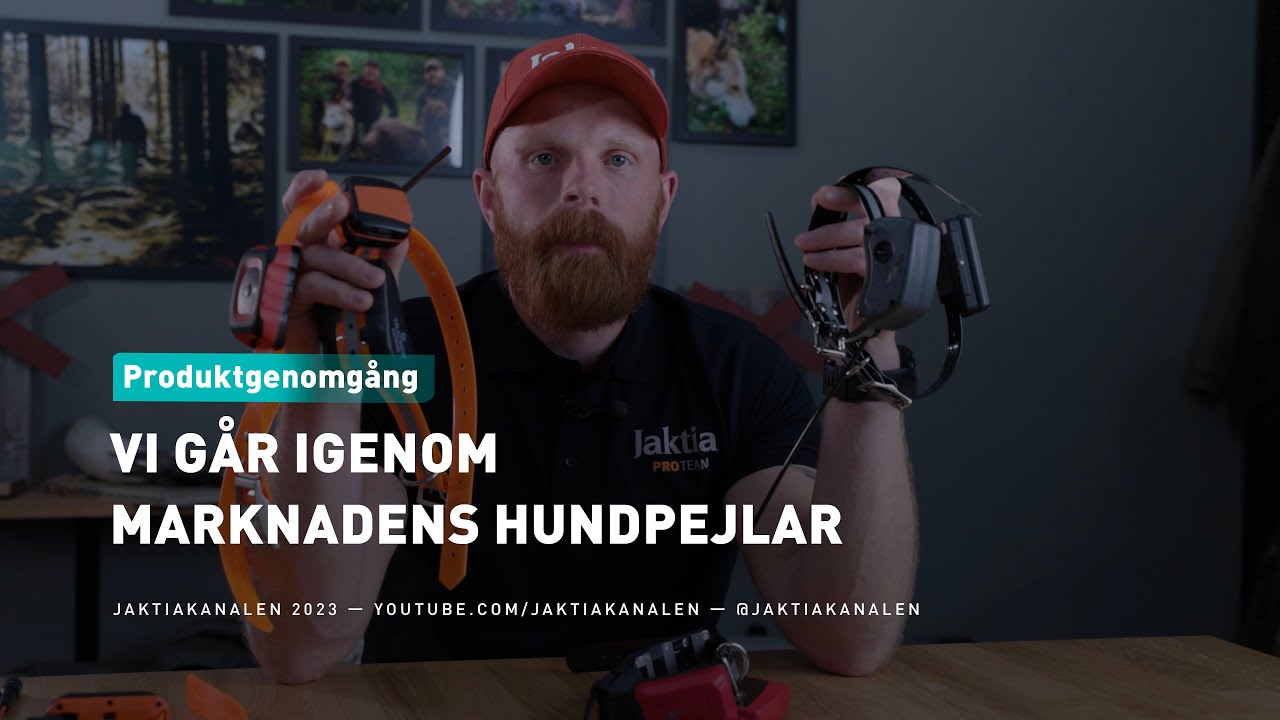 Vi går igenom marknadens hundpejlar
