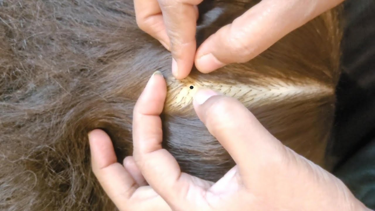 ASMR - Super Comfortable Scalp Care, Scalp Scratching & Treatment ✨🌿