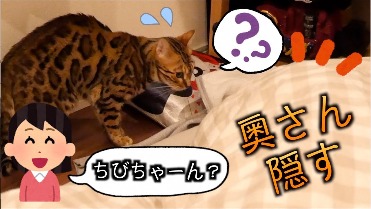 ロゼの大好きな奥さん隠してみた