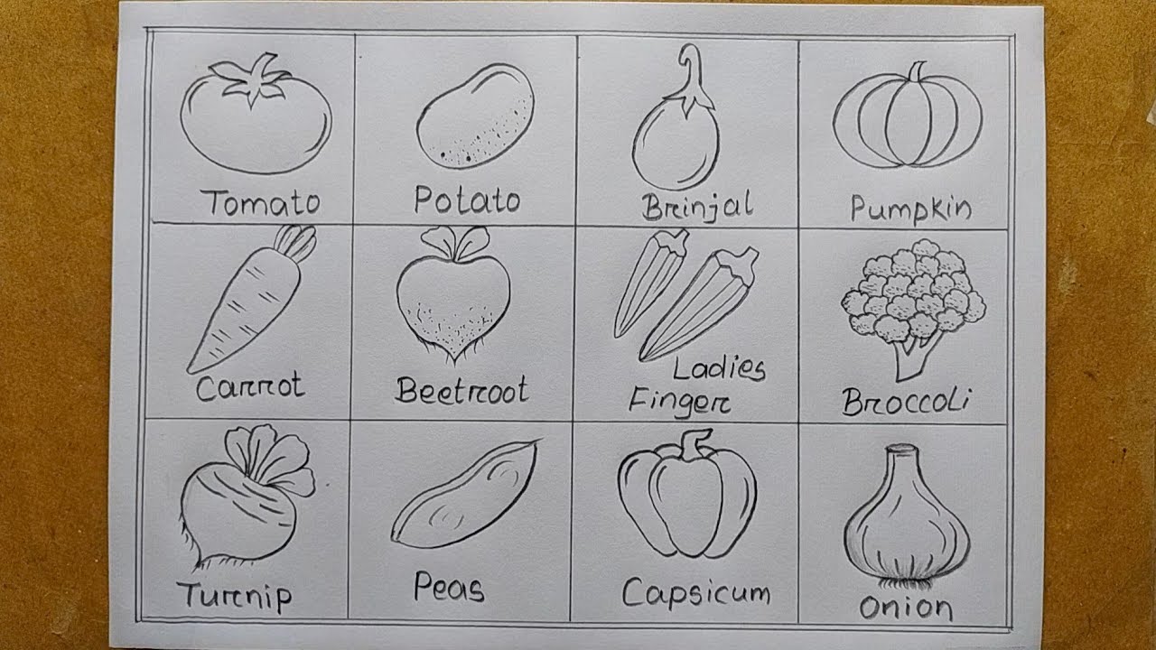 Different types of Vegetables drawing easy| How to different Vegetable drawing| Vegetable chart