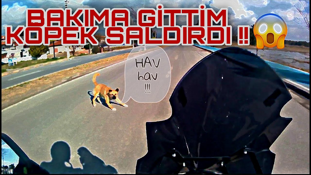BAJAJ PULSAR NS200 5000 KM BAKIMI//2021///BAKIM'A GİTTİM KÖPEK SALDIRDI! Motovlog