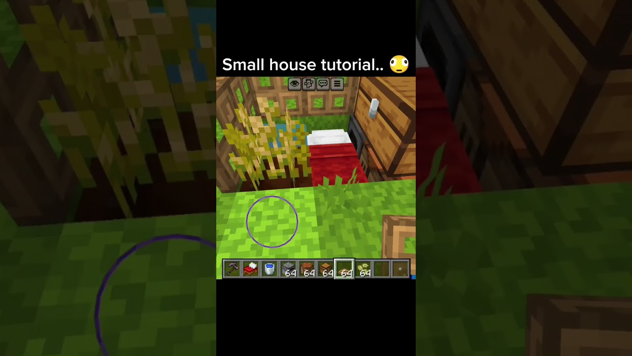 Small house tutorial in Minecraft.. 🫪 #minecraft #shorts #tutorial