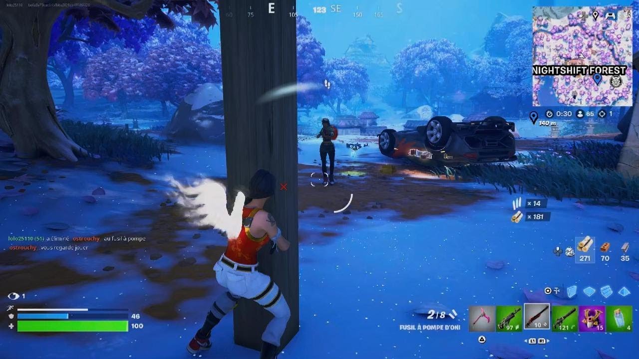 Fortnite_20241220185606