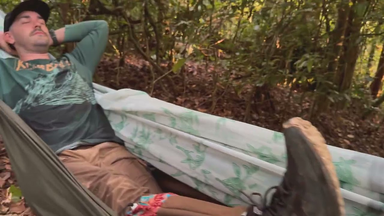 Silwood  in Borneo