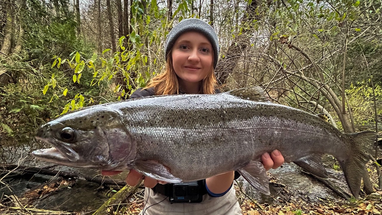 Searching for Winter Steelhead in Norfolk County + Fireplace Catch & Cook