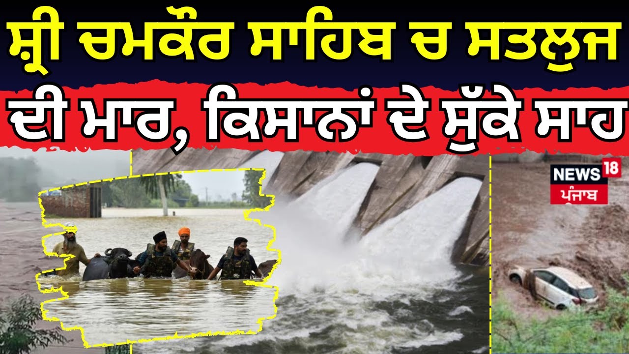 Sutlej Flood | ਸ਼੍ਰੀ ਚਮਕੌਰ ਸਾਹਿਬ ਚ ਸਤਲੁਜ ਦੀ ਮਾਰ, ਕਿਸਾਨਾਂ ਦੇ ਸੁੱਕੇ ਸਾਹ |  Chamkaur Sahib |News18Punjab