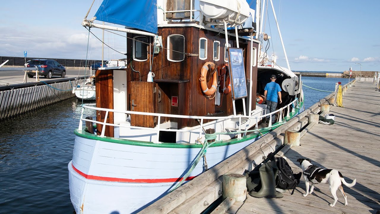 Limfjorden et dødt farvand