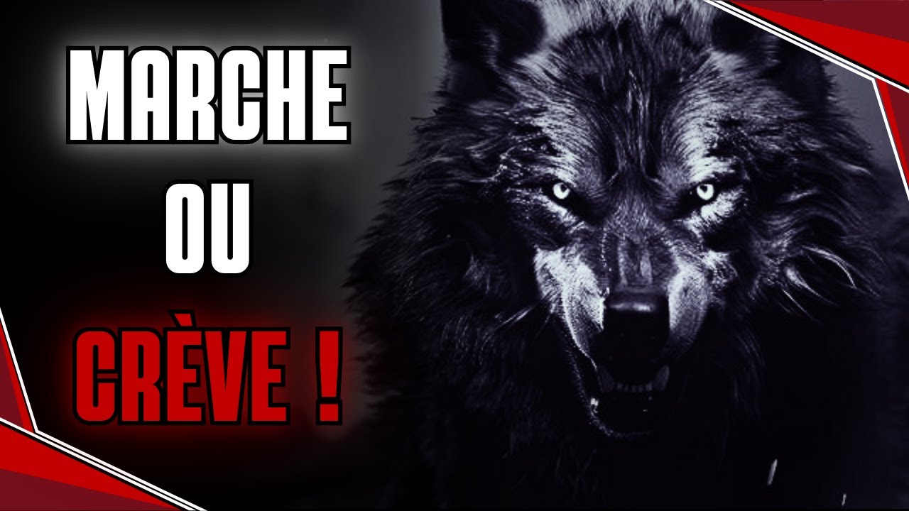 Loup Solitaire - Piq&ucirc;re de Motivation
