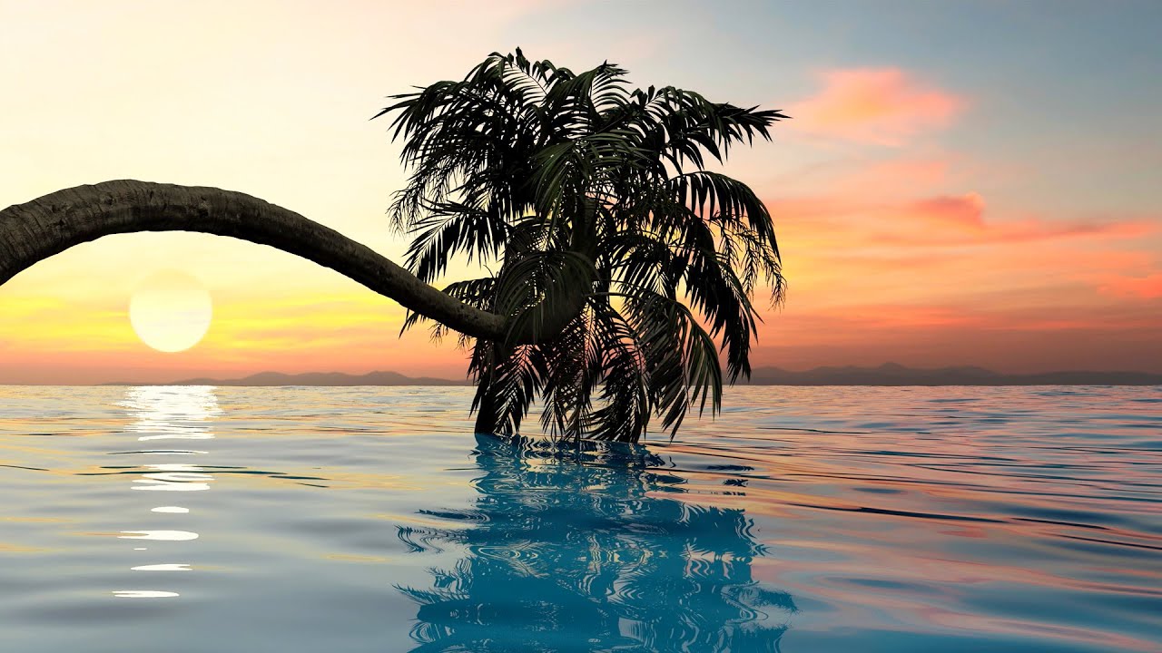 The Ocean Dreams
