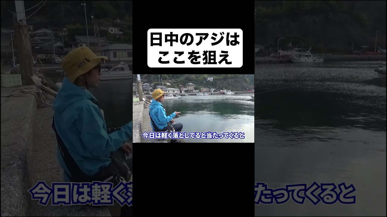 【アジング】真昼間にアジが釣れる場所を教えます。