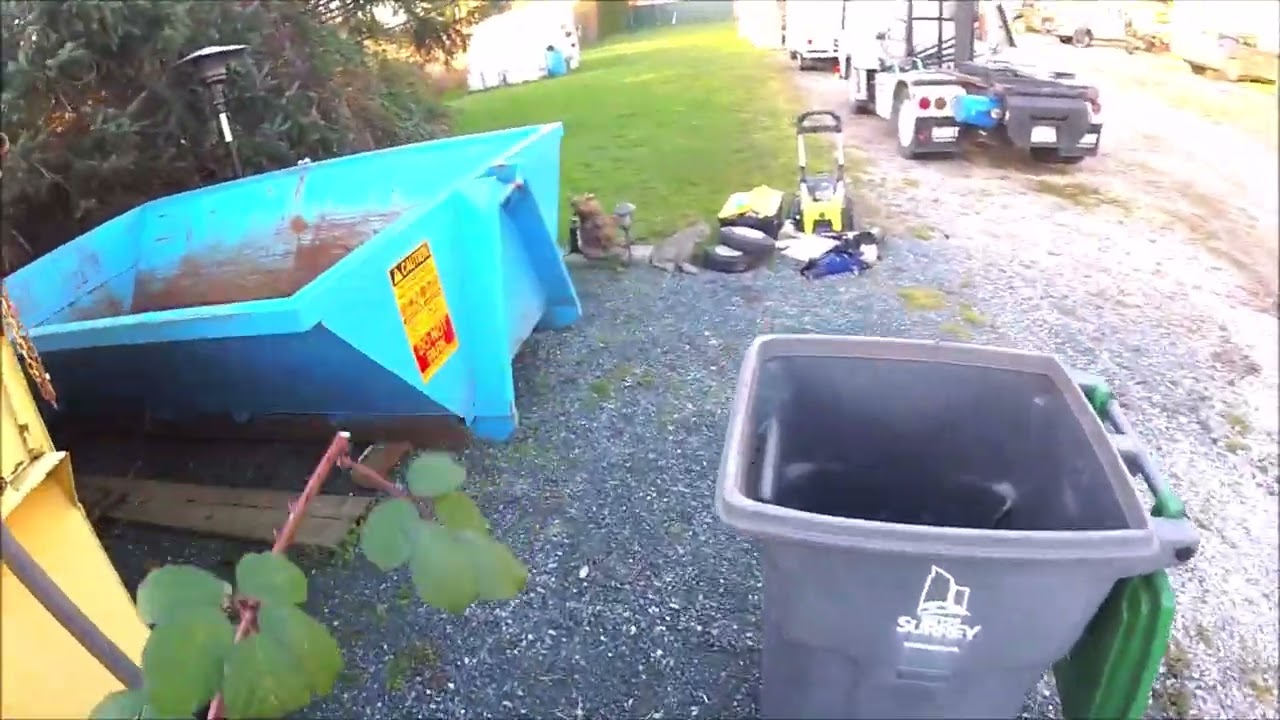 Working in My Yard