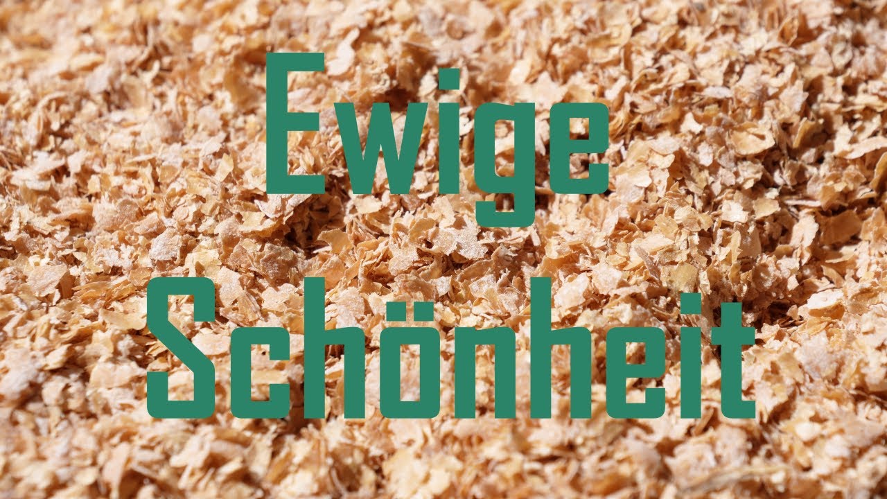 Ewiges Leben mit Spermidin aus Weizenkeimen?