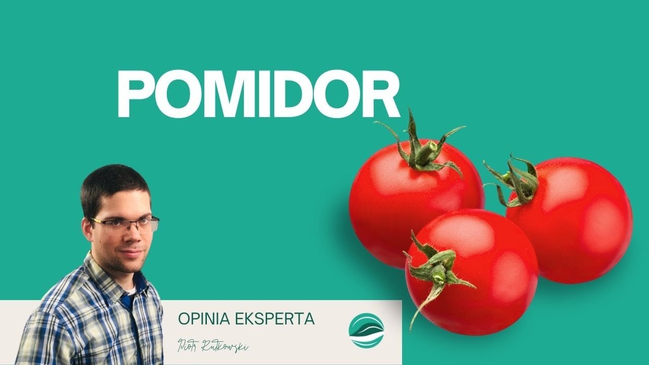 Pomidor 🍅 | Wartość odżywcza, właściwości zdrowotne | Jedz dobrze by Młynarski
