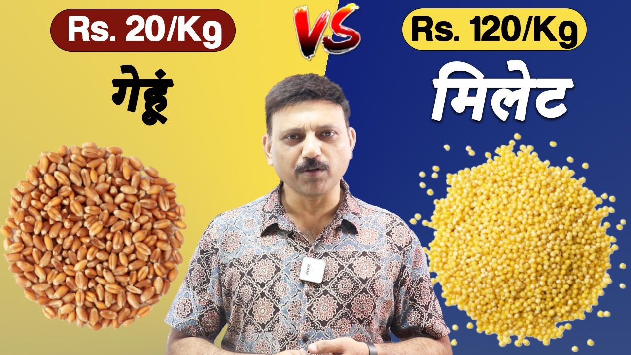 Rs.20/Kg GHEHU Vs Rs.120/Kg MILLET (The Shocking Truth) | Q&A Session on Millets | Manas Samarth