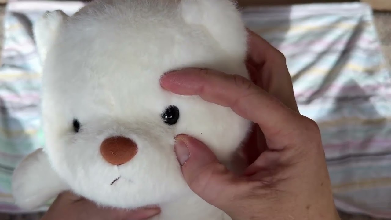 This extra feature is what makes this teddy bear special