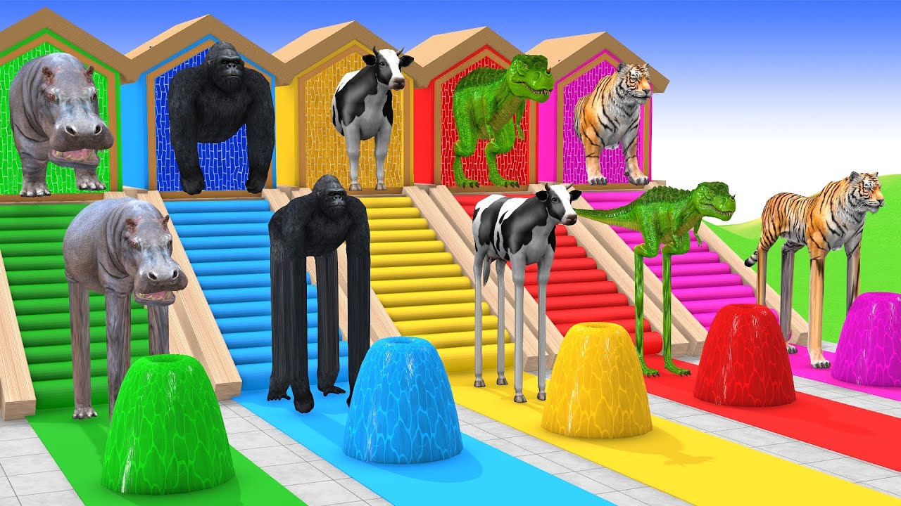 Long Slide Game with Cow Elephant Gorilla Hippopotamus Tiger 3d Animal Game Funny 3d Animals