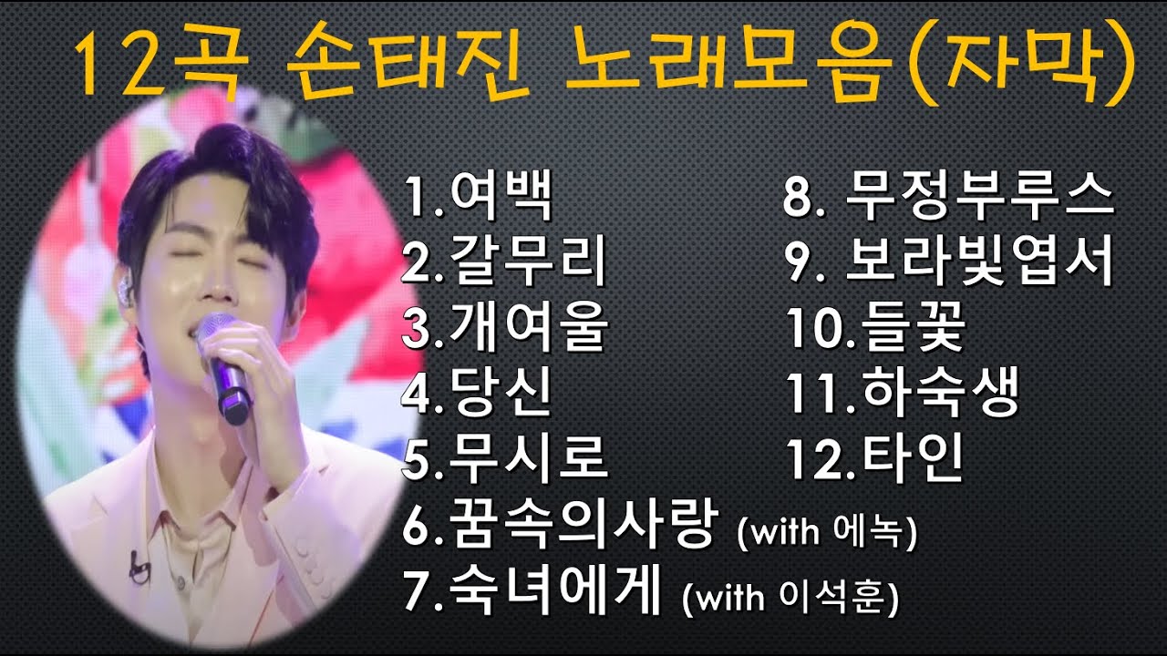 12곡 손태진 노래모음 [자막]