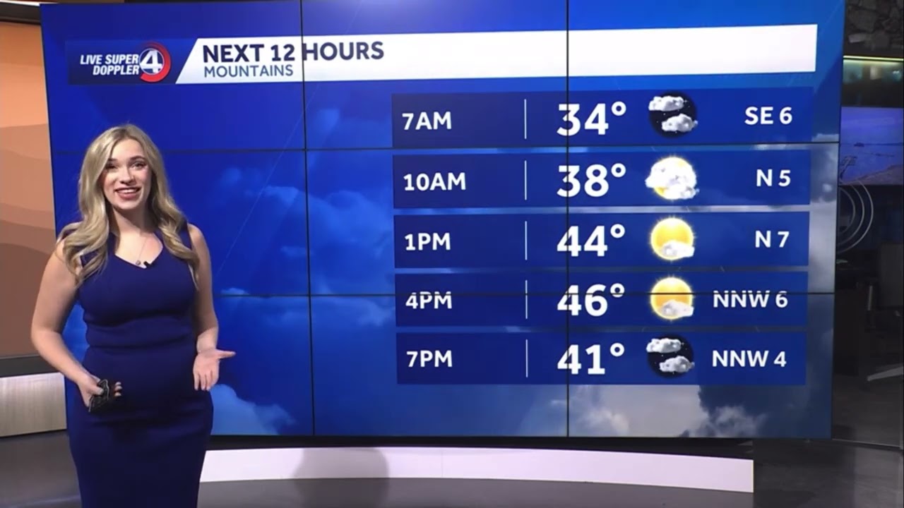 Grace Lowe - WYFF 4 Weather Montage - 17 January 2026
