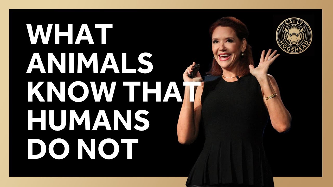 What Animals Know That Humans Don't [Sally Hogshead]