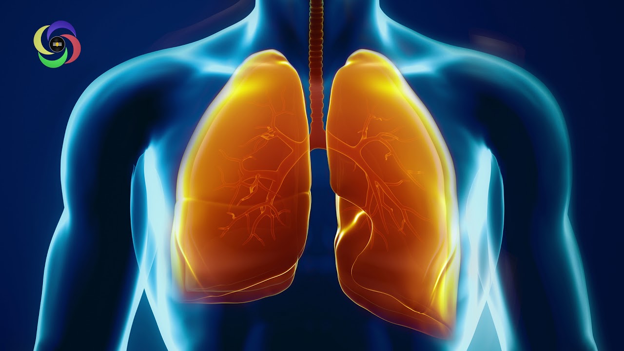 Frequency of Lungs 220 Hz | Monaural - Pure - Organ - Music For Treatment #RMBB