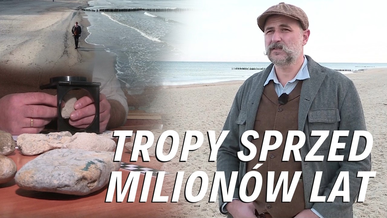 Historia świata leży na plaży | PRACOWNIA REPORTAŻU