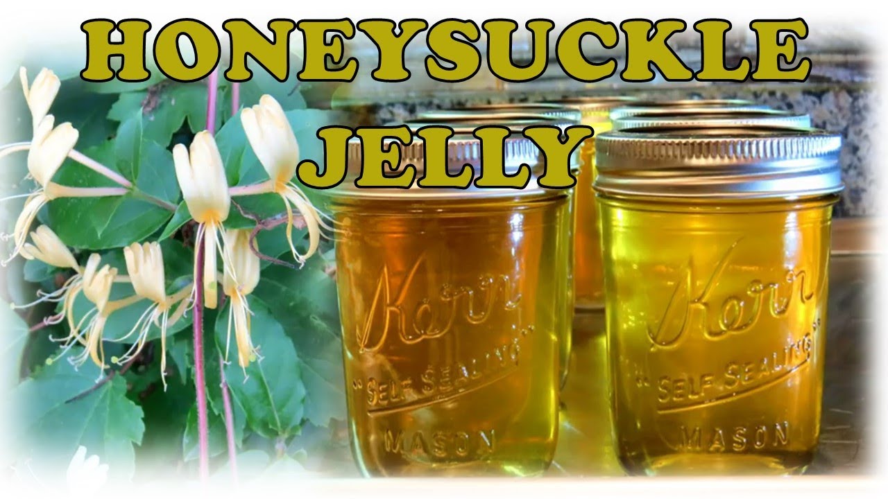 Honeysuckle Jelly - How to Make & Can | Useful Knowledge