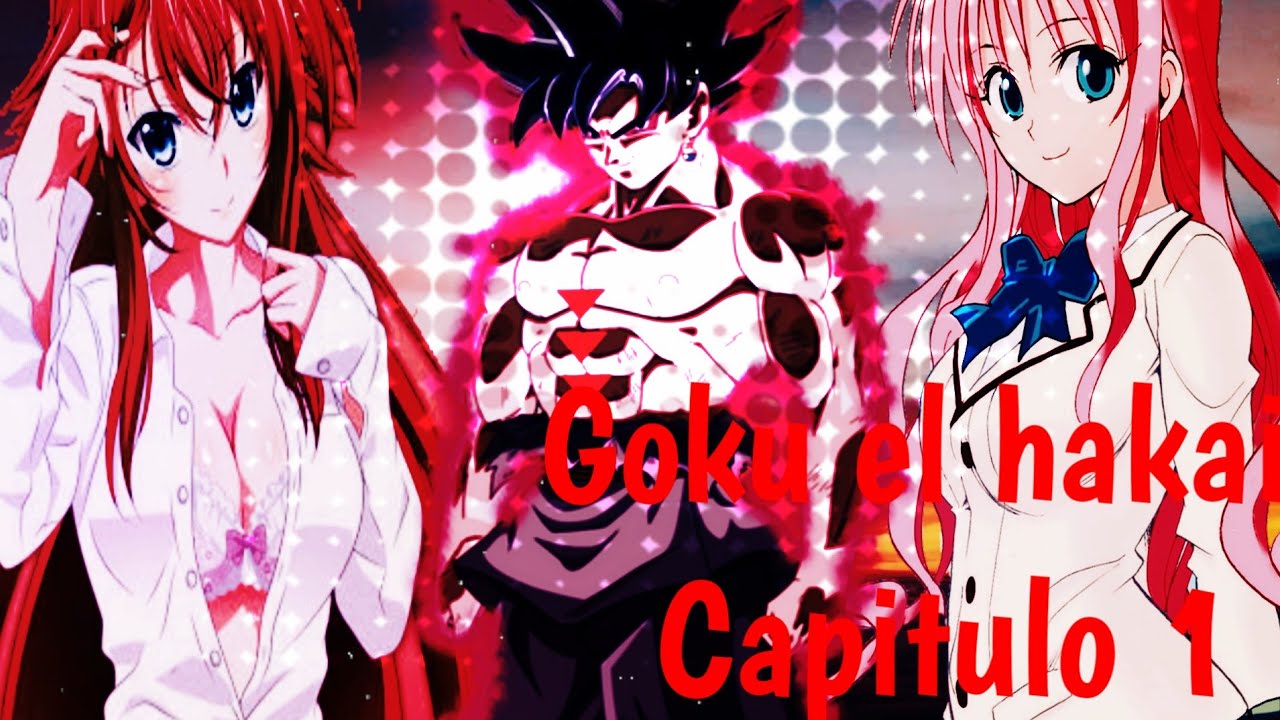 #1 goku el hakaishin