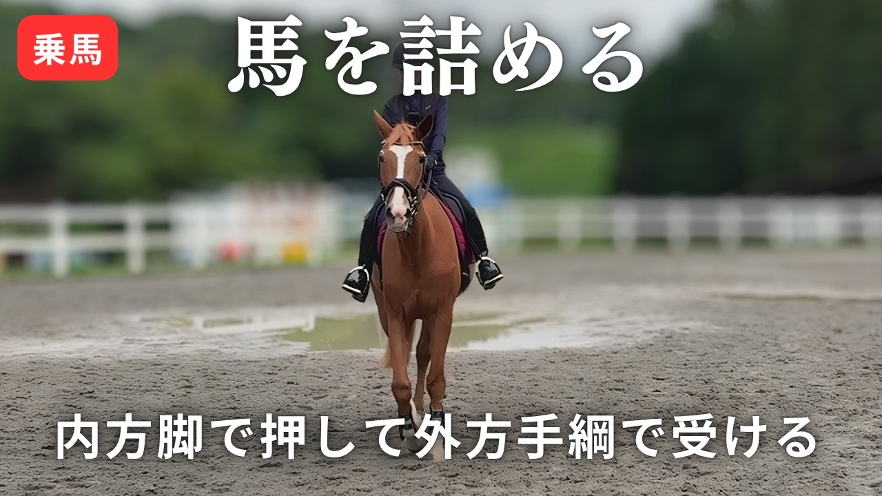 「乗馬」肘を曲げて馬を丸める練習