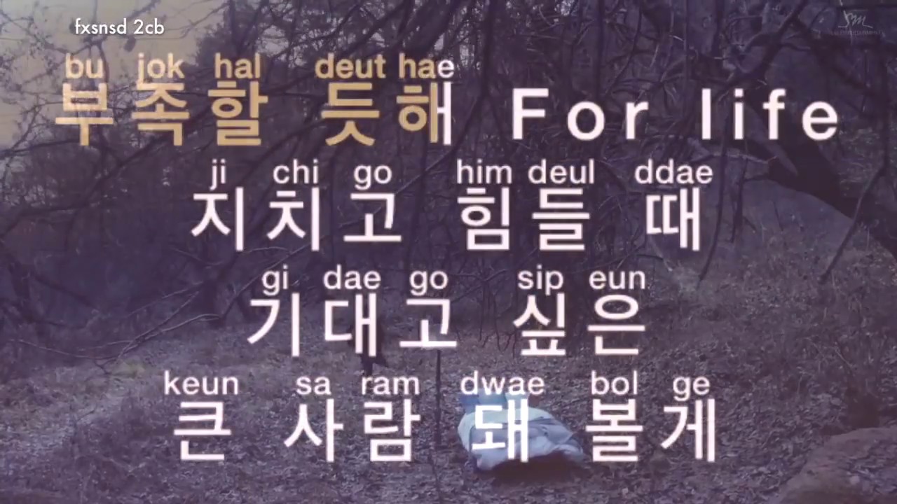 [KARAOKE] EXO - For Life