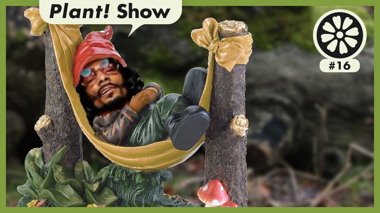 Garden Gnomes! | Plant Show, Episode 16