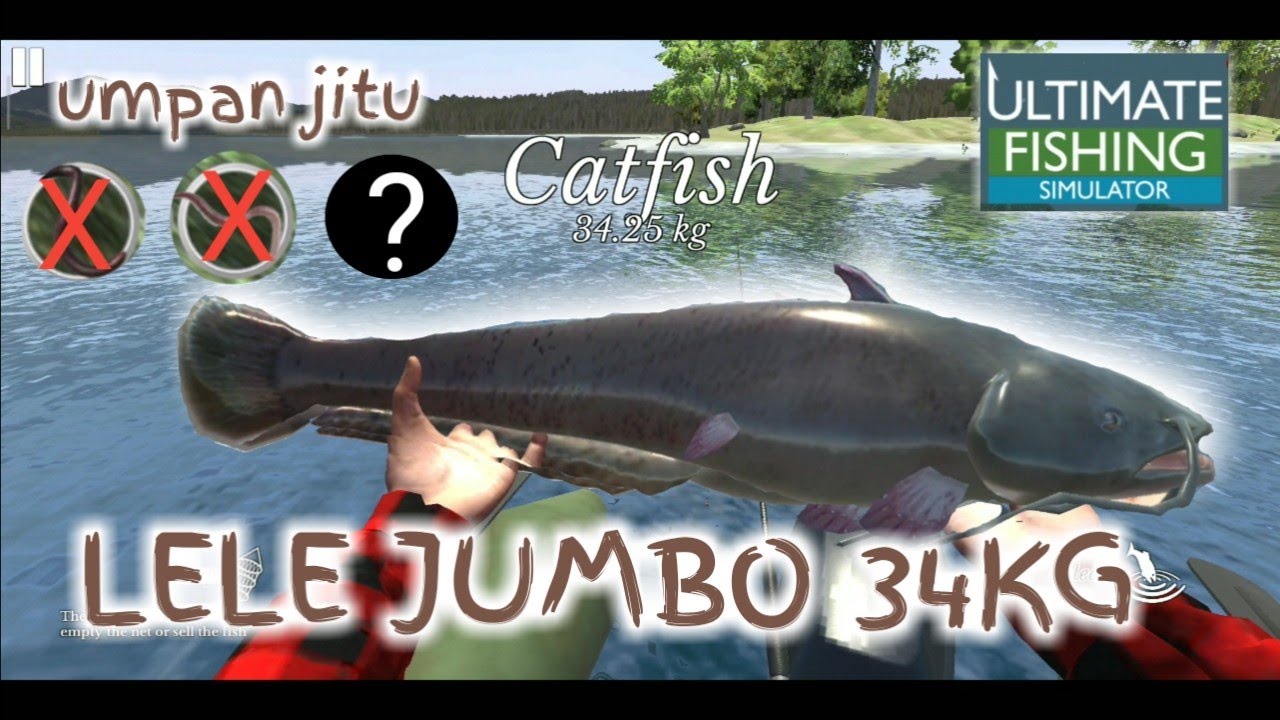 NGALAHIN MASTER KEDEHHE !!! LELE JUMBO | UMPAN JITU | ULTIMATE FISHING SIMULATOR