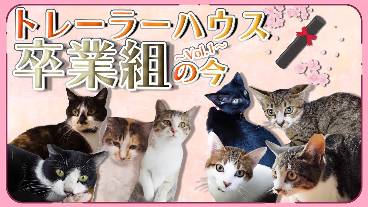坂上パパとママに保護された子達は今どうしてる？ Vol.1