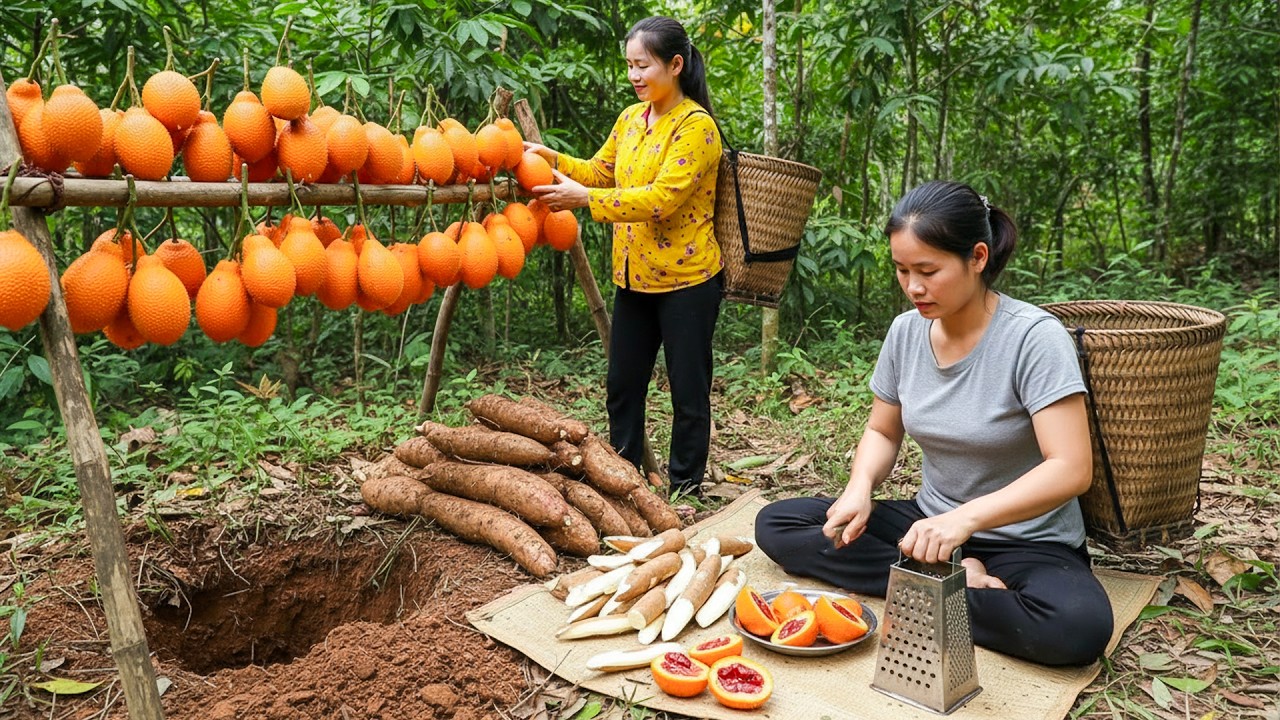 Harvesting Melons, Gac Fruit & Cassava from Garden – Full Processing for Market Sale