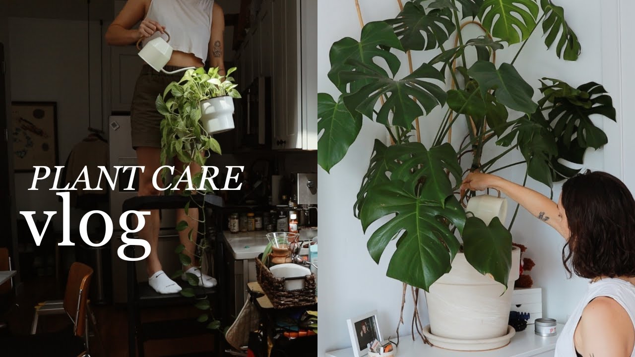 cozy houseplant care day in brooklyn | day in the life vlog