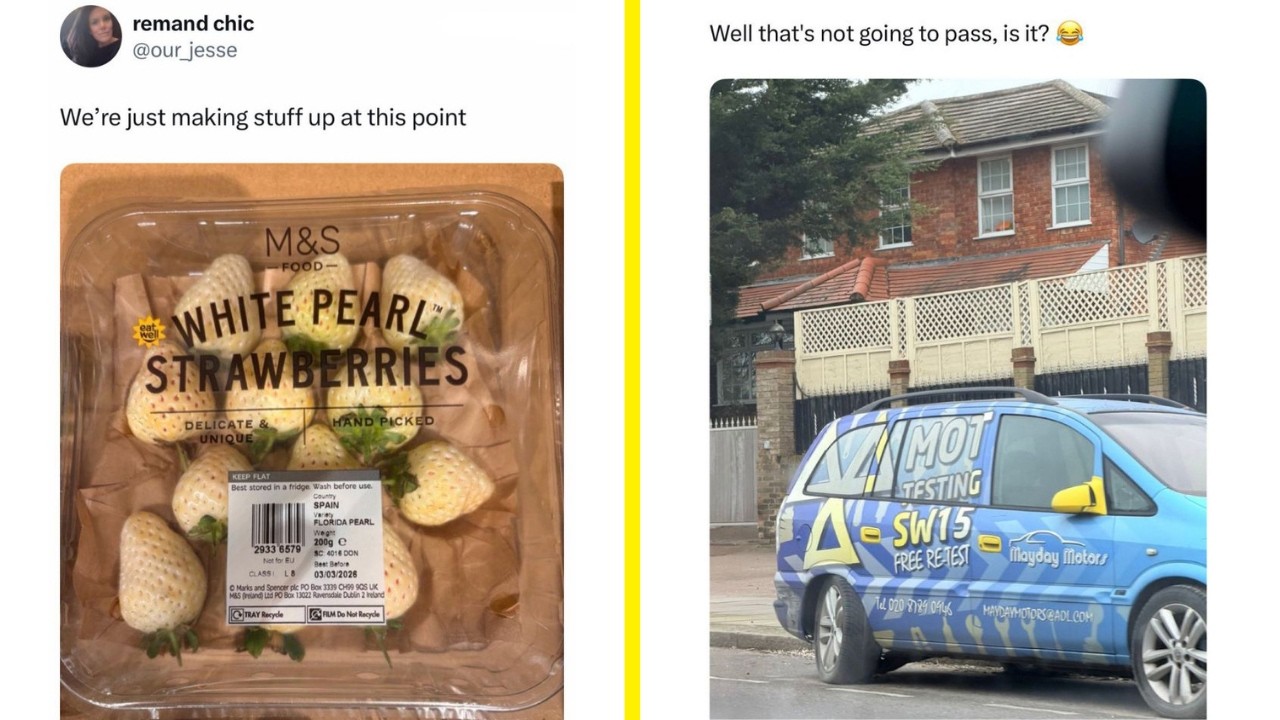 British Humour At Its Finest - Ep.384 🇬🇧 Well that's not going to pass, is it?