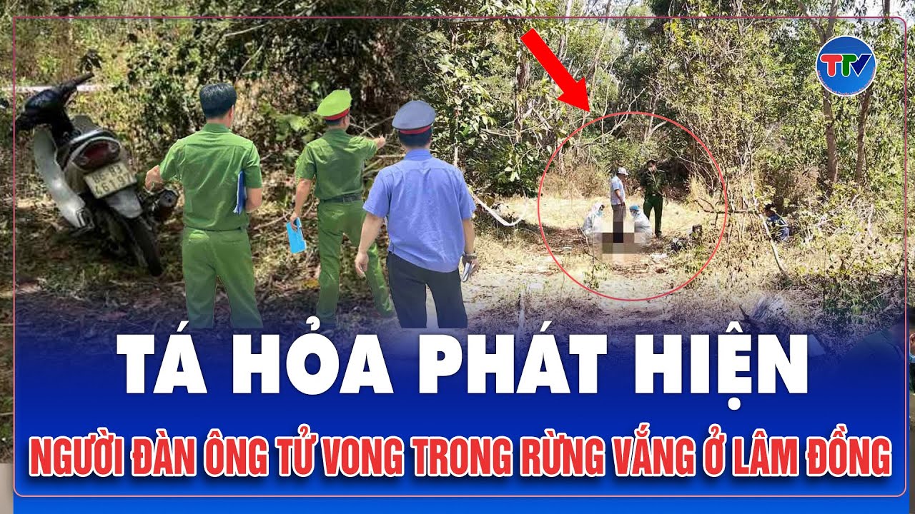 Sáng 27/1: Tá hỏa phát hiện người đàn ông tử vong trong khu rừng vắng, điều tra khẩn nguyên nhân