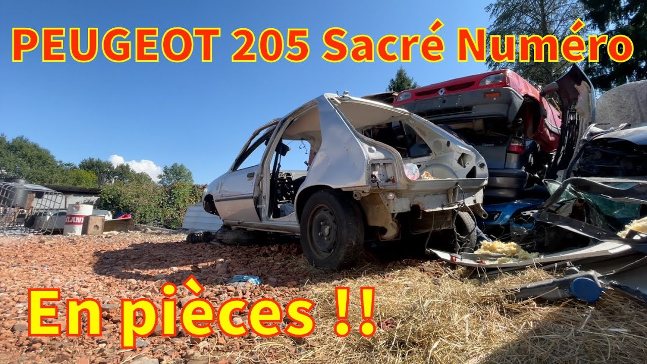 Peugeot 205 Sacré Numéro - démontage pour pièces
