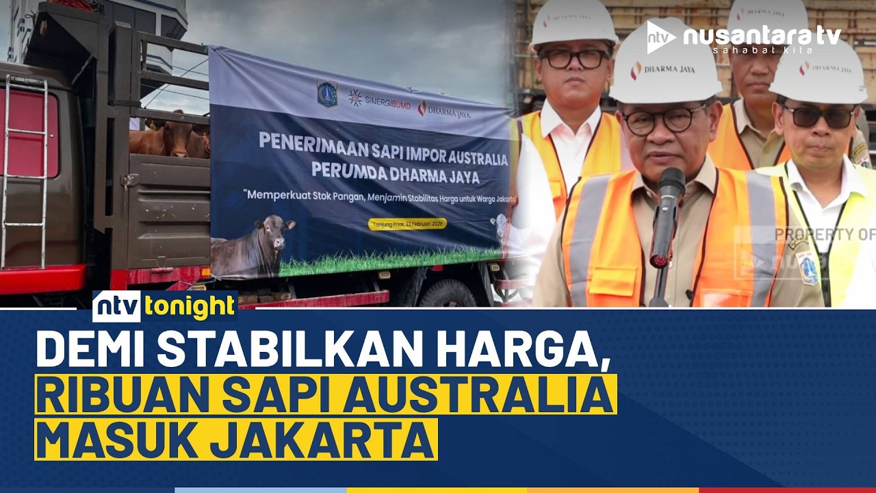 Pertama Kali dalam 28 Tahun, Pemprov DKI Impor 7.500 Sapi Australia Selama Ramadan | NTV TONIGHT