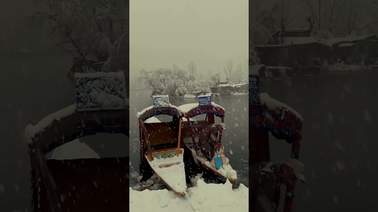 #Kashmir #KashmirValley #HeavenOnEarth #KashmirTourism #VisitKashmir #viral #trending #explorepage
