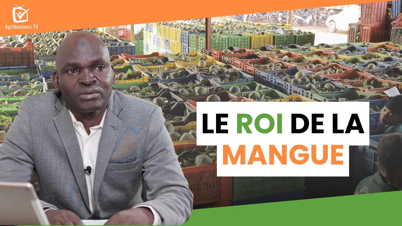 Burkina Faso : Le roi de la mangue