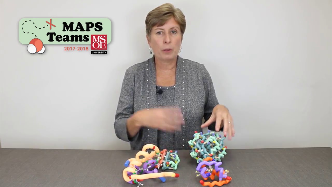 Insulin Synthesis and Processing Summary